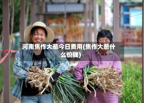 河南焦作大葱今日费用(焦作大葱什么价钱)