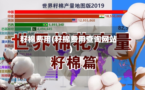 籽棉费用(籽棉费用查询网站)