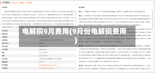 电解铜9月费用(9月份电解铜费用)-第2张图片