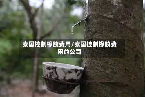 泰国控制橡胶费用/泰国控制橡胶费用的公司