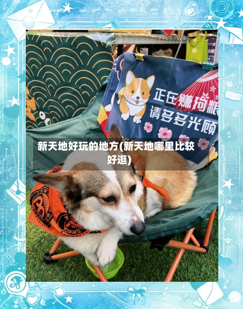 新天地好玩的地方(新天地哪里比较好逛)