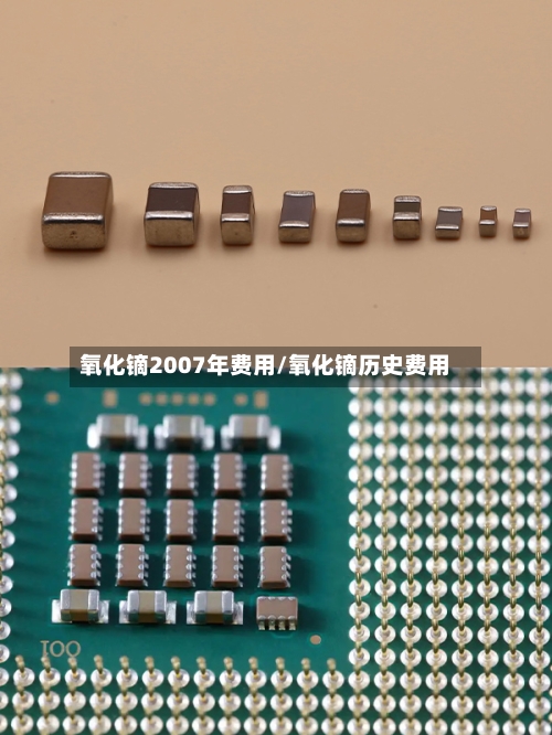 氧化镝2007年费用/氧化镝历史费用