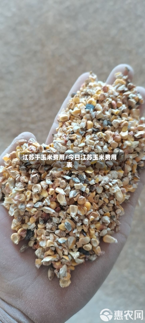 江苏干玉米费用/今日江苏玉米费用表-第2张图片