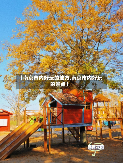 【南京市内好玩的地方,南京市内好玩的景点】-第2张图片