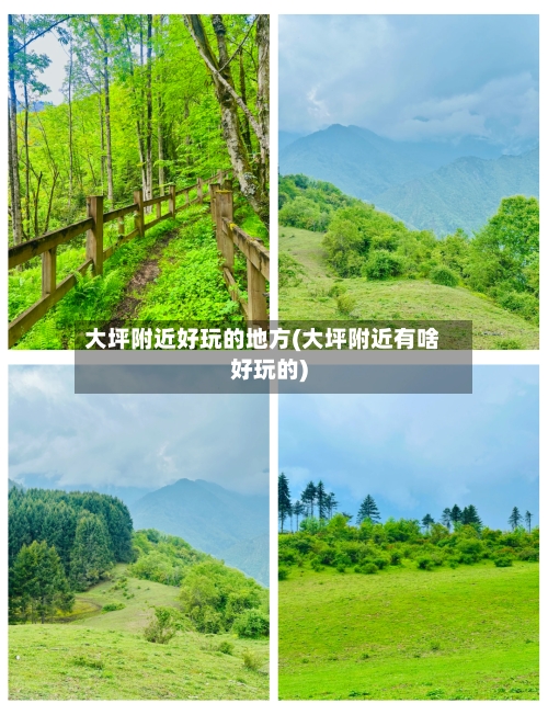 大坪附近好玩的地方(大坪附近有啥好玩的)-第2张图片