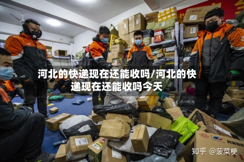 河北的快递现在还能收吗/河北的快递现在还能收吗今天-第2张图片
