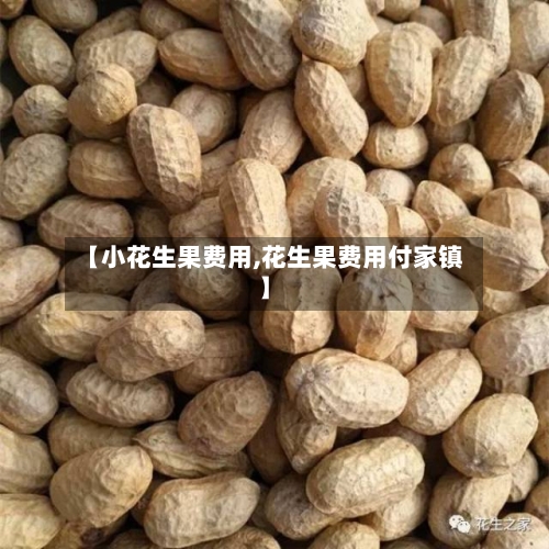【小花生果费用,花生果费用付家镇】-第3张图片