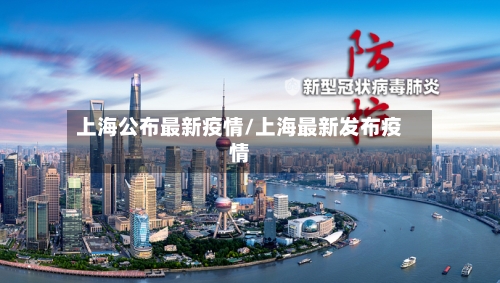 上海公布最新疫情/上海最新发布疫情-第3张图片
