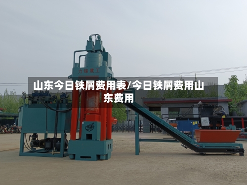 山东今日铁屑费用表/今日铁屑费用山东费用-第3张图片