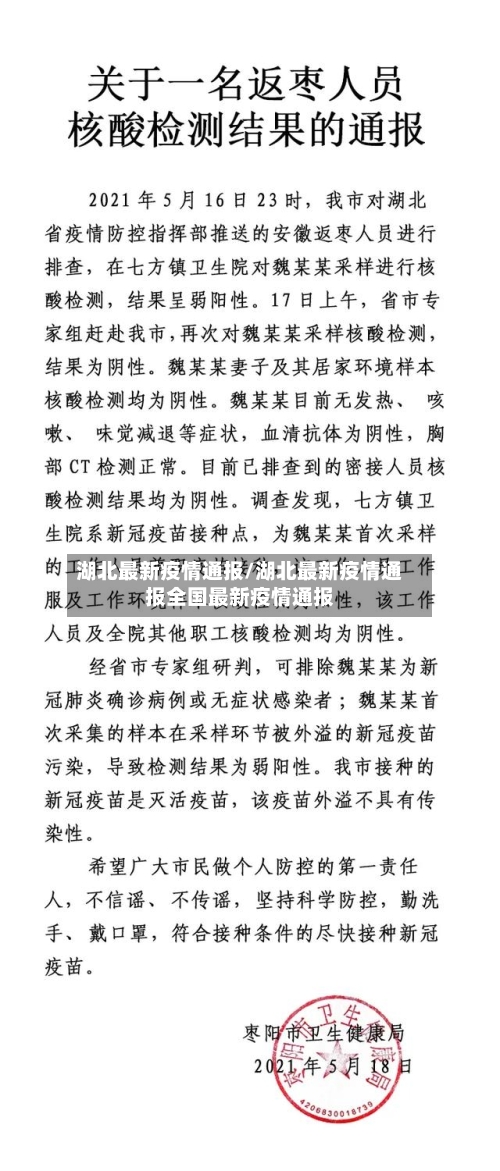 湖北最新疫情通报/湖北最新疫情通报全国最新疫情通报-第3张图片