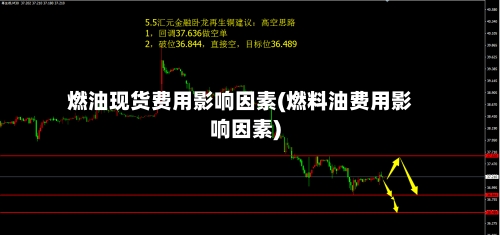燃油现货费用影响因素(燃料油费用影响因素)