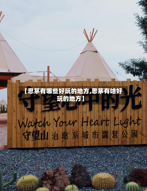 【思茅有哪些好玩的地方,思茅有啥好玩的地方】-第2张图片