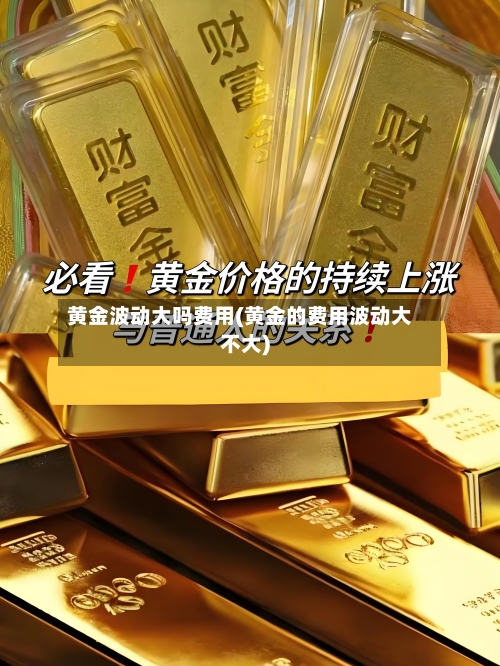 黄金波动大吗费用(黄金的费用波动大不大)