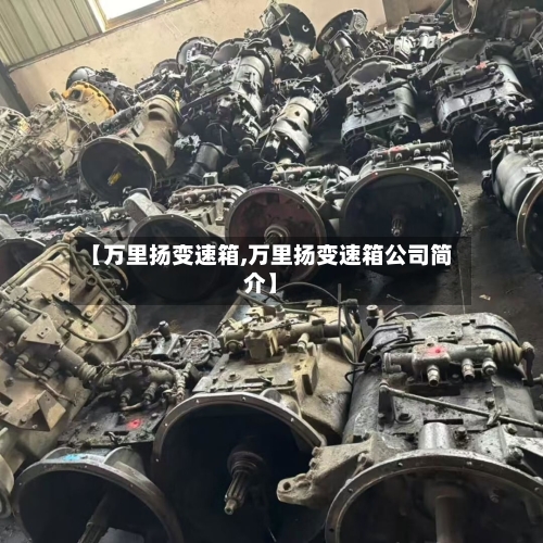 【万里扬变速箱,万里扬变速箱公司简介】-第3张图片