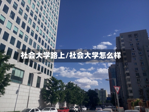 社会大学路上/社会大学怎么样