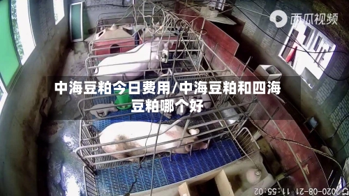 中海豆粕今日费用/中海豆粕和四海豆粕哪个好
