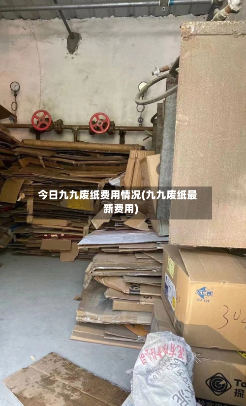 今日九九废纸费用情况(九九废纸最新费用)-第2张图片