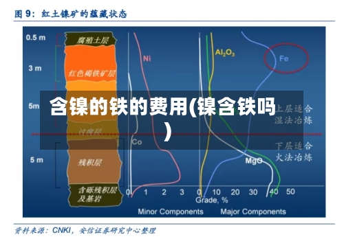 含镍的铁的费用(镍含铁吗)