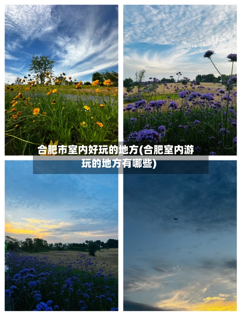 合肥市室内好玩的地方(合肥室内游玩的地方有哪些)