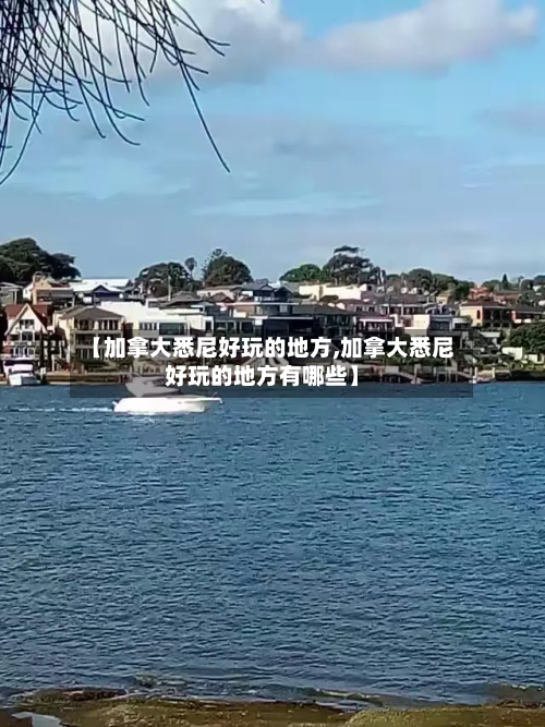 【加拿大悉尼好玩的地方,加拿大悉尼好玩的地方有哪些】-第2张图片
