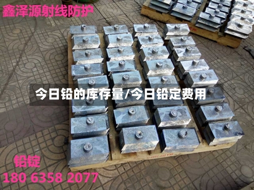今日铅的库存量/今日铅定费用