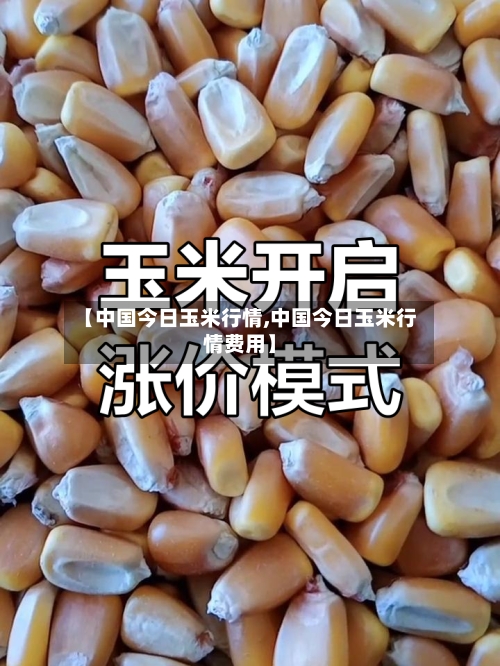 【中国今日玉米行情,中国今日玉米行情费用】