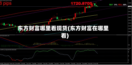 东方财富哪里看现货(东方财富在哪里看)-第3张图片