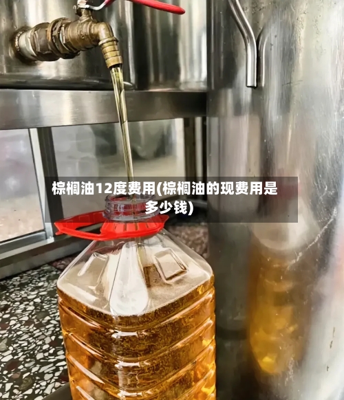 棕榈油12度费用(棕榈油的现费用是多少钱)-第3张图片