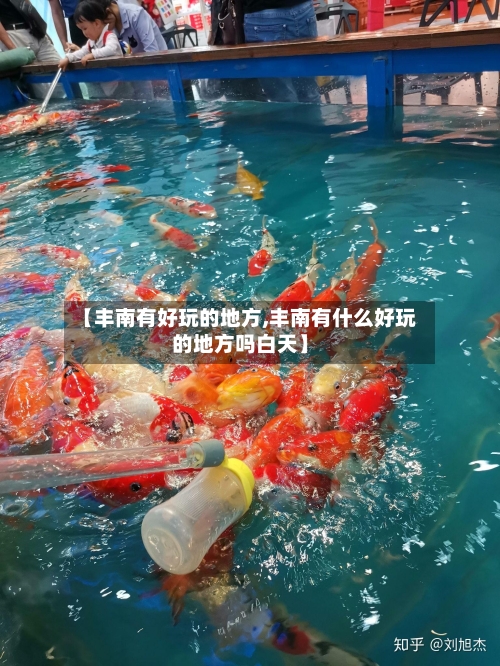 【丰南有好玩的地方,丰南有什么好玩的地方吗白天】