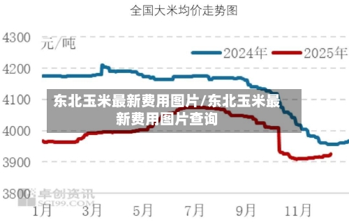 东北玉米最新费用图片/东北玉米最新费用图片查询
