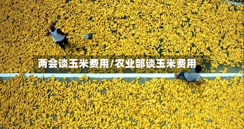 两会谈玉米费用/农业部谈玉米费用-第3张图片