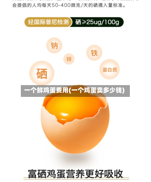 一个鲜鸡蛋费用(一个鸡蛋卖多少钱)-第2张图片