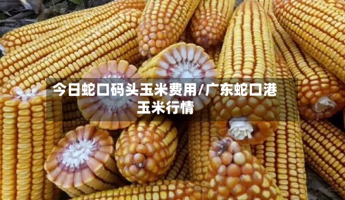今日蛇口码头玉米费用/广东蛇口港玉米行情