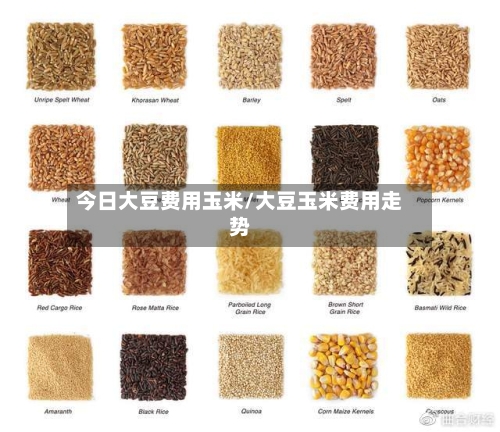 今日大豆费用玉米/大豆玉米费用走势