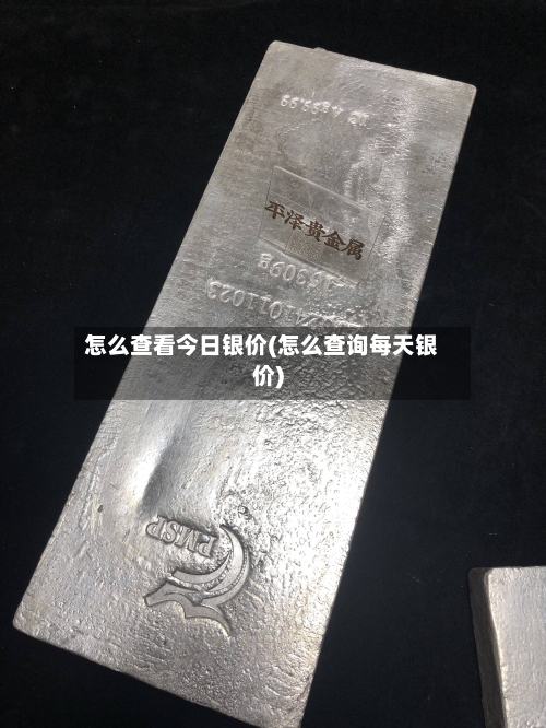 怎么查看今日银价(怎么查询每天银价)