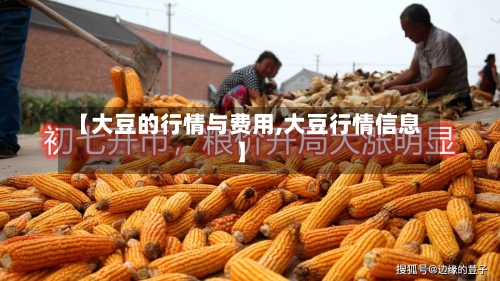 【大豆的行情与费用,大豆行情信息】