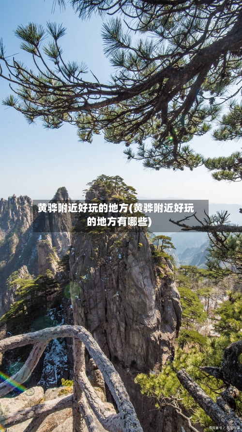 黄骅附近好玩的地方(黄骅附近好玩的地方有哪些)-第2张图片