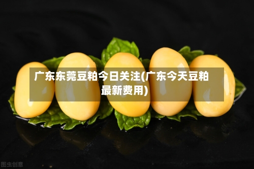 广东东莞豆粕今日关注(广东今天豆粕最新费用)