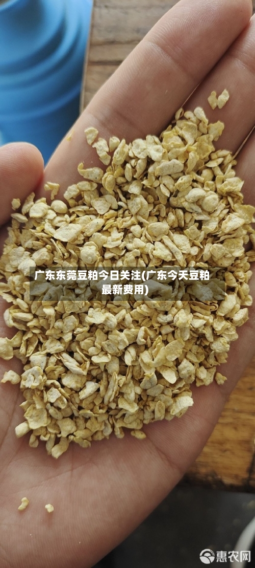广东东莞豆粕今日关注(广东今天豆粕最新费用)-第2张图片