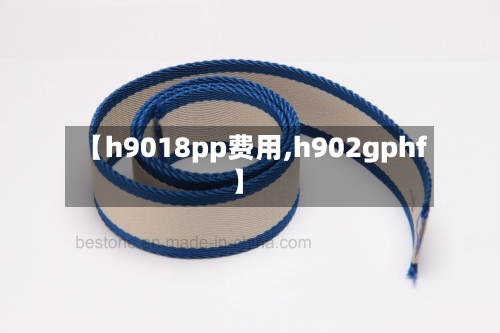 【h9018pp费用,h902gphf】-第2张图片