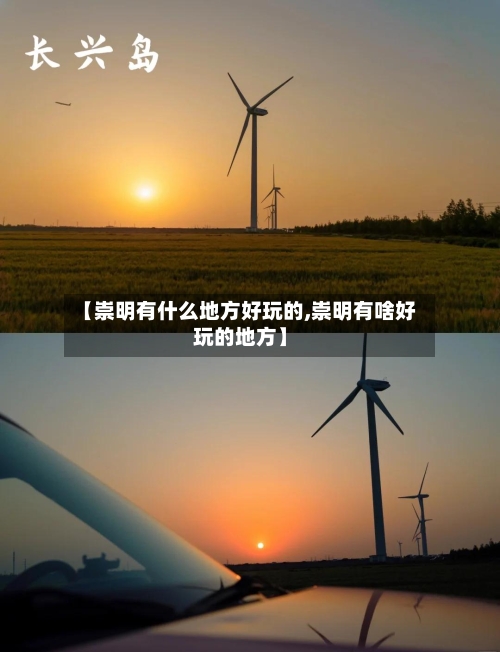 【崇明有什么地方好玩的,崇明有啥好玩的地方】-第2张图片