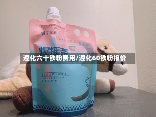 遵化六十铁粉费用/遵化60铁粉报价-第2张图片