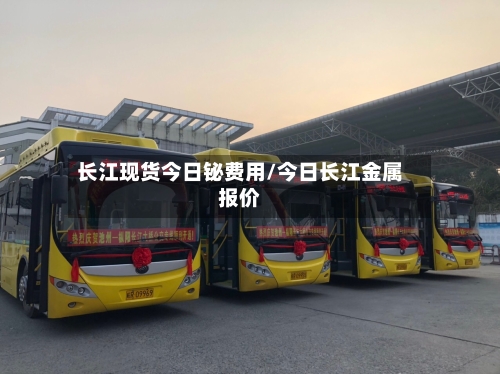 长江现货今日铋费用/今日长江金属报价