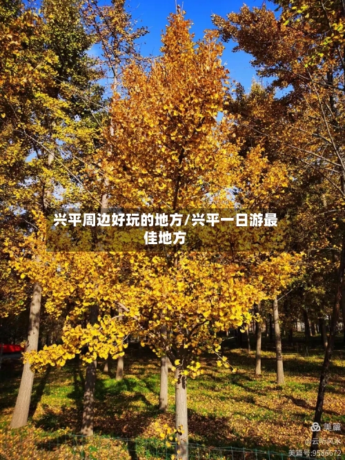 兴平周边好玩的地方/兴平一日游最佳地方