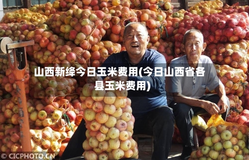 山西新绛今日玉米费用(今日山西省各县玉米费用)