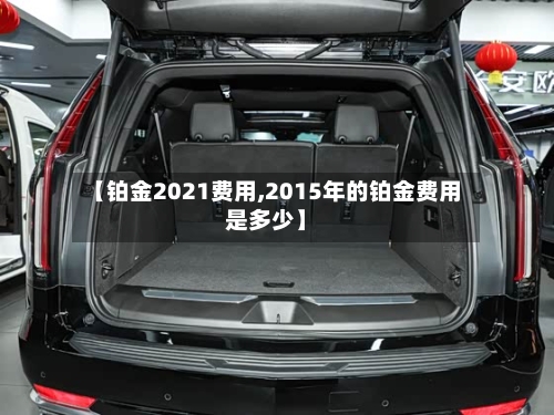 【铂金2021费用,2015年的铂金费用是多少】
