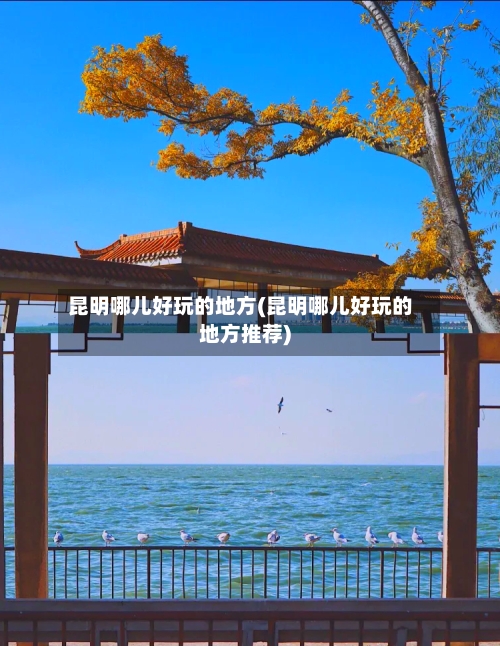 昆明哪儿好玩的地方(昆明哪儿好玩的地方推荐)