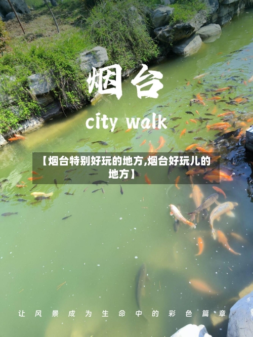 【烟台特别好玩的地方,烟台好玩儿的地方】