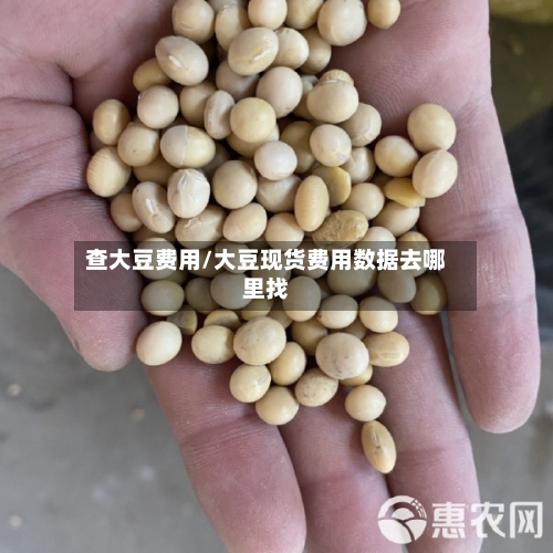 查大豆费用/大豆现货费用数据去哪里找