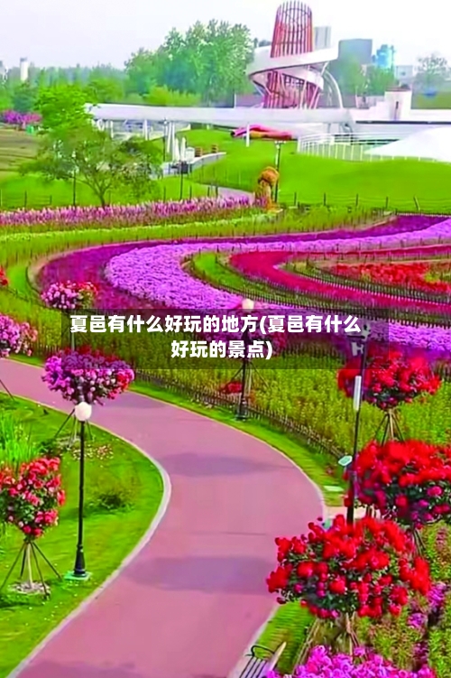夏邑有什么好玩的地方(夏邑有什么好玩的景点)-第3张图片